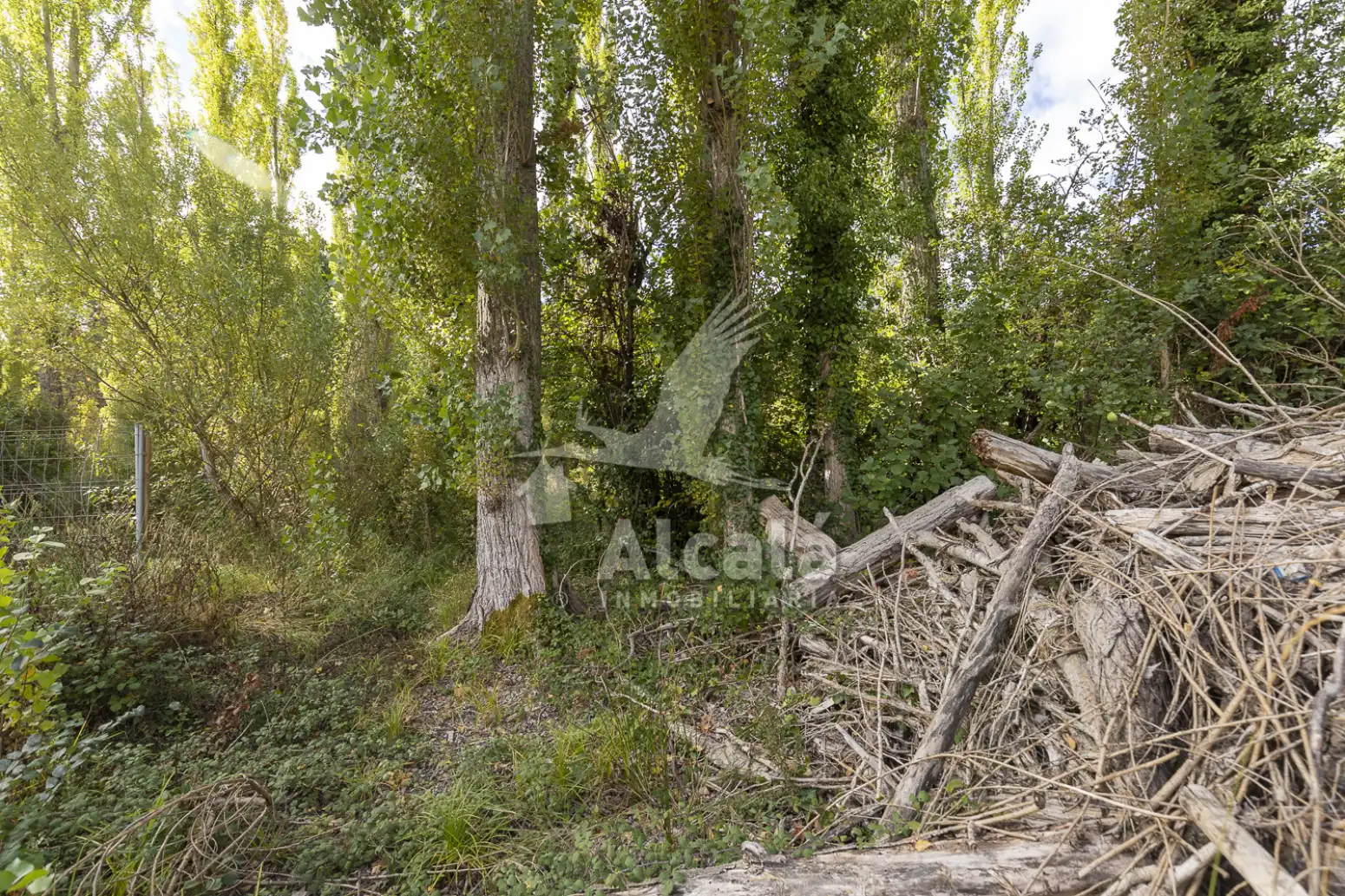 Terreno en venta en Hueva
