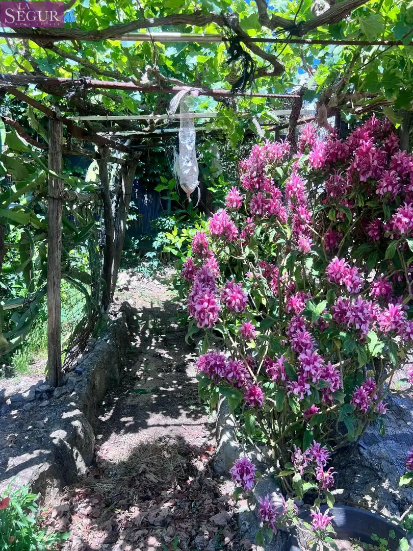 Jardí de Casa o xalet en venda en Vejer de la Frontera amb Jardí privat