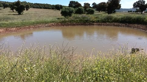 Photo 5 of Land for sale in Centro - Plaza Mayor, Ciudad Real Capital