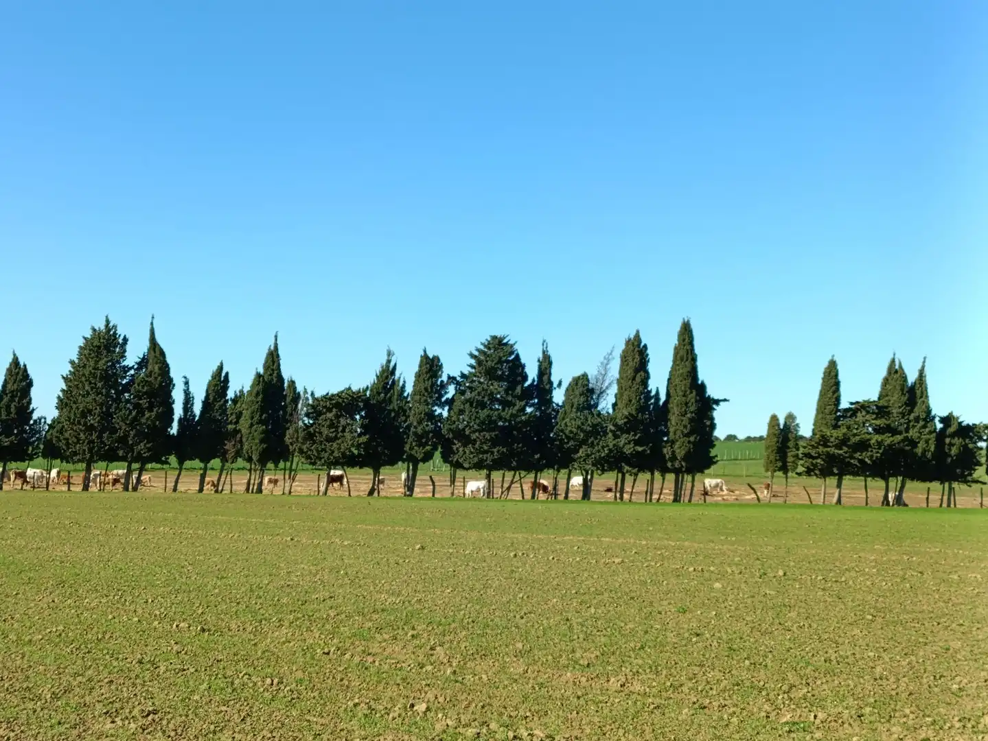 Casa rústica en venda a Villanueva Golf, imagen 4