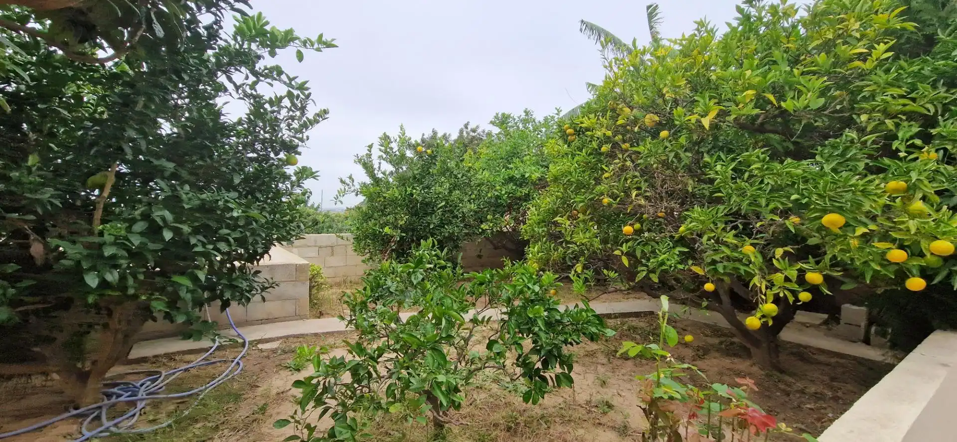 Casa o xalet en venda en Cullera amb Aire condicionat, Calefacció i Jardí privat