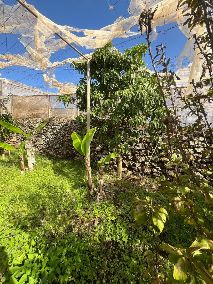 Residencial en venta en El Pinar de El Hierro