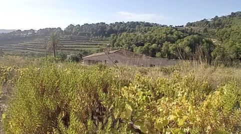 Preciosa Finca en Moraira