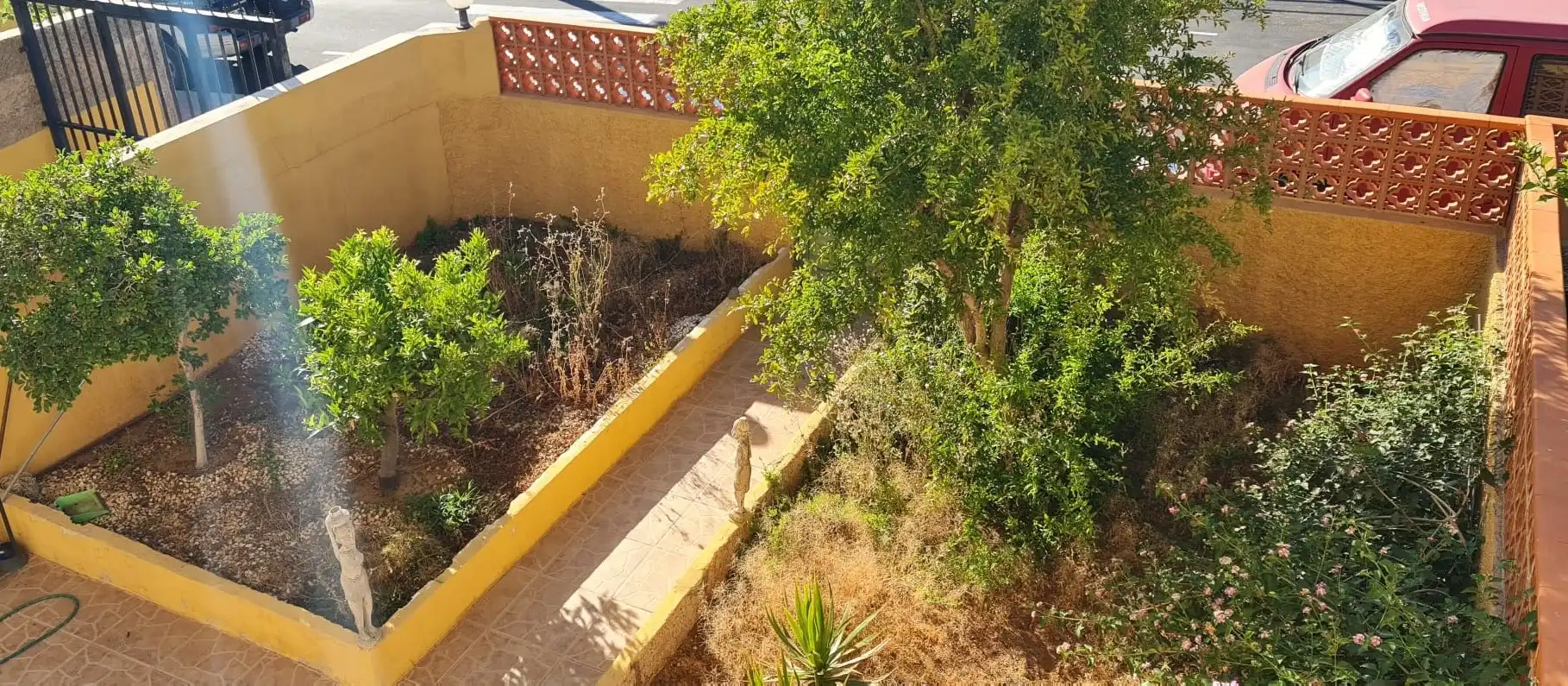 Jardí de Casa o xalet de lloguer en San Miguel de Abona amb Jardí privat, Terrassa i Traster