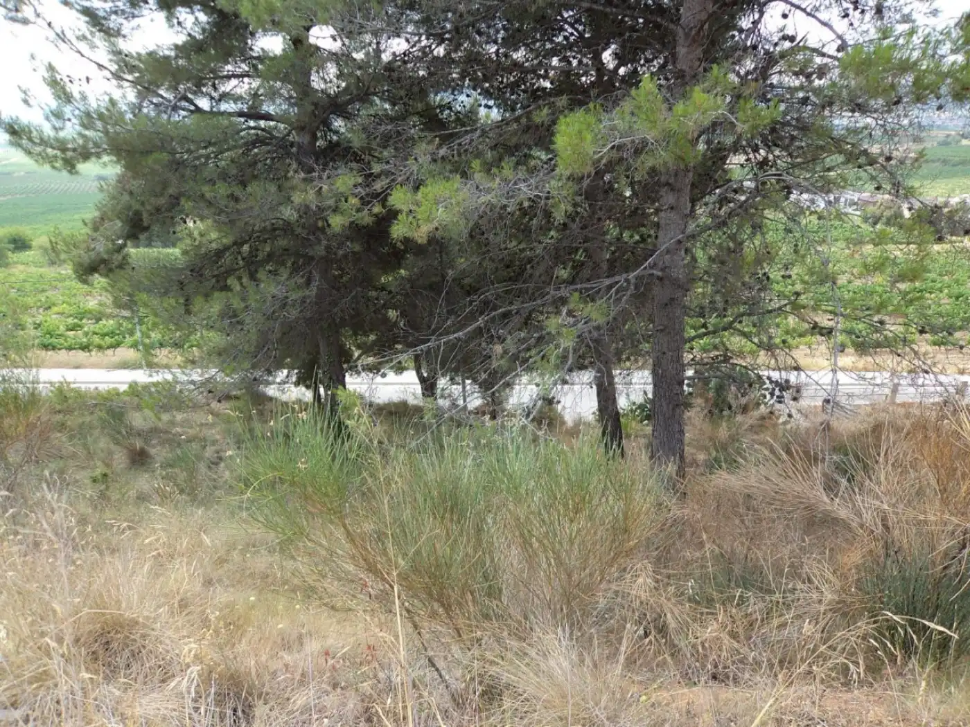 Residential land for sale in Torrelles de Foix, imagen 3