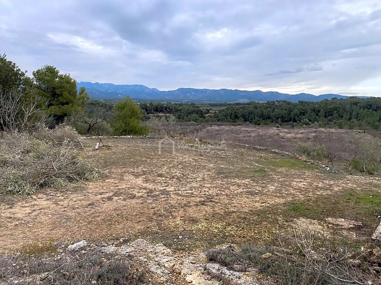 Terrain rustique à vendre à PLANELLES, imagen 20