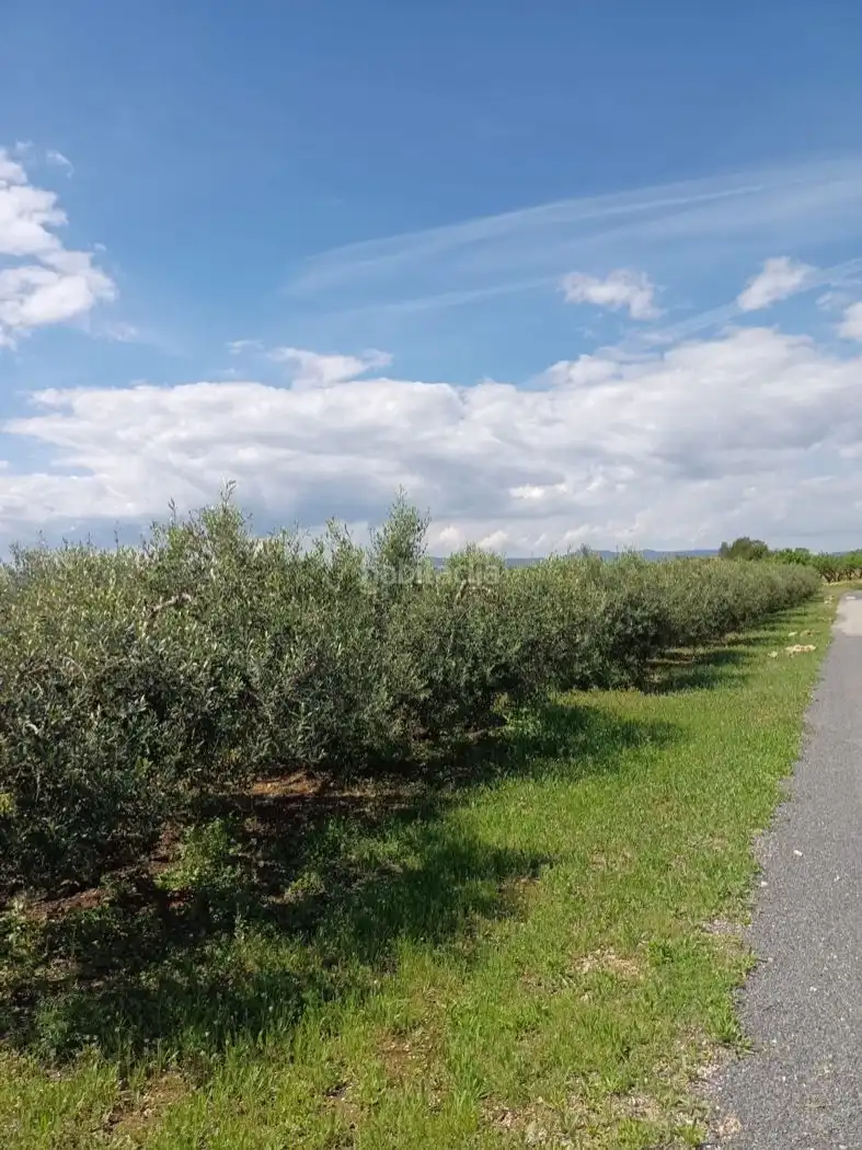 Rural land for sale in Carrer Molí del Mig 29, imagen 6