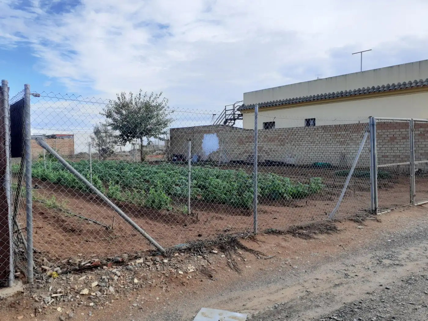 Terreno rustico in vendita a La Laguna, imagen 7