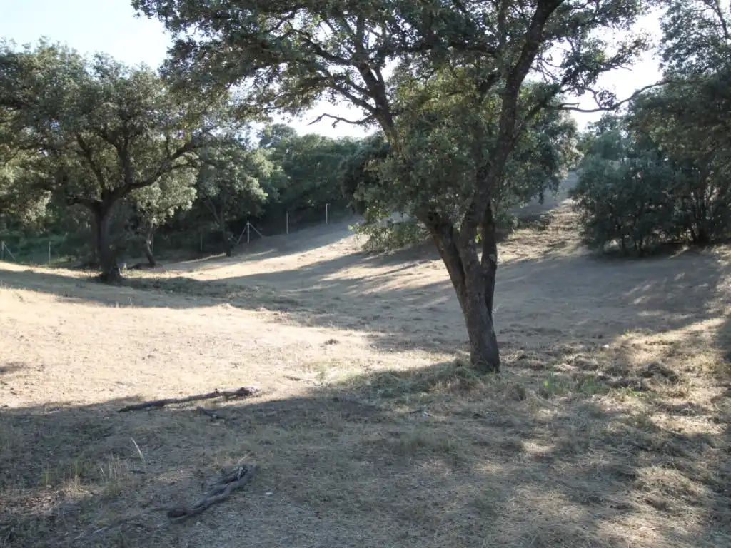 Terreny residencial en venda a Ciudalcampo, imagen 16