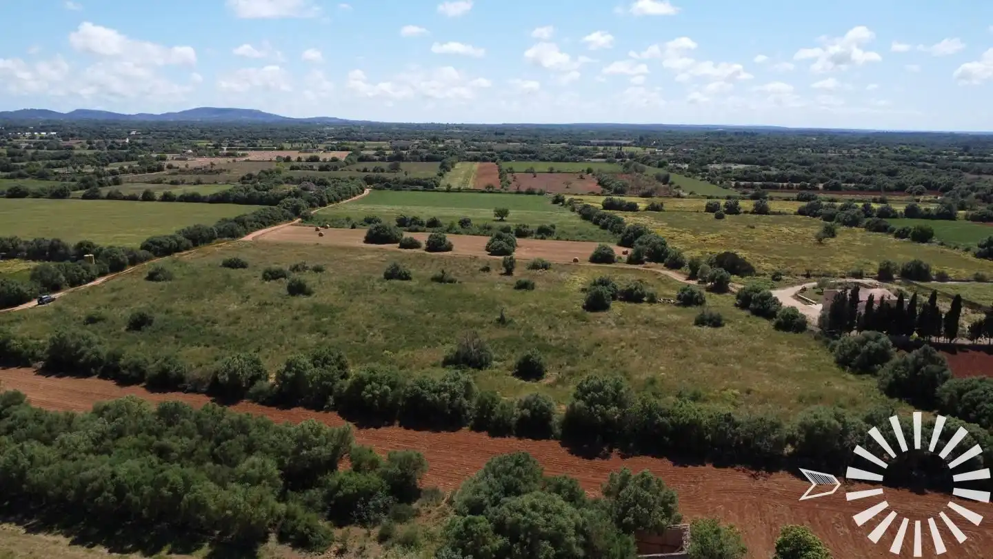 Rural land for sale in Pologino 3 Parcela 107, imagen 24