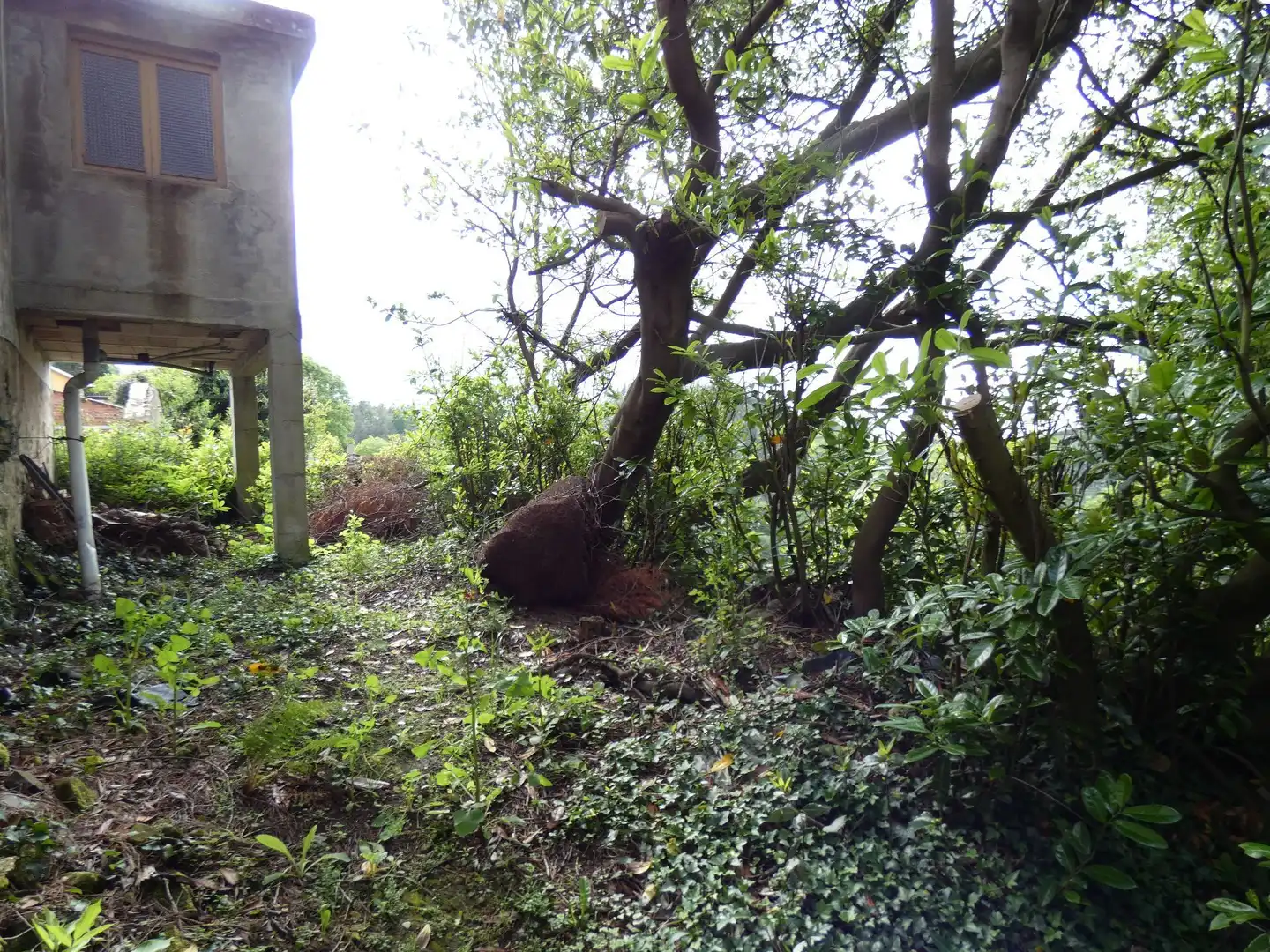 Haus zum Verkauf in Valdés - Luarca, imagen 31