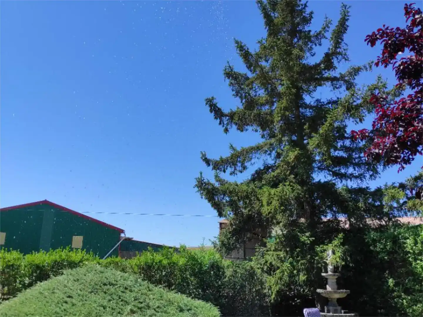 Pis en venda en Castrejón de la Peña amb Jardí privat, Moblat i Balcó