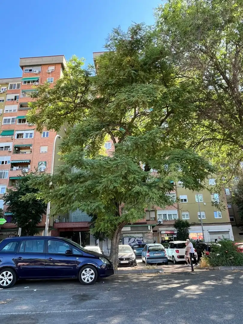Vista exterior de Piso en venta en Alcalá de Henares con Aire acondicionado, Calefacción y Terraza