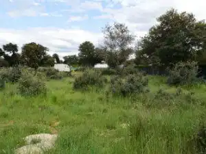 Terreni e lotti in vendita a DE LOS ALAMOS, imagen 2
