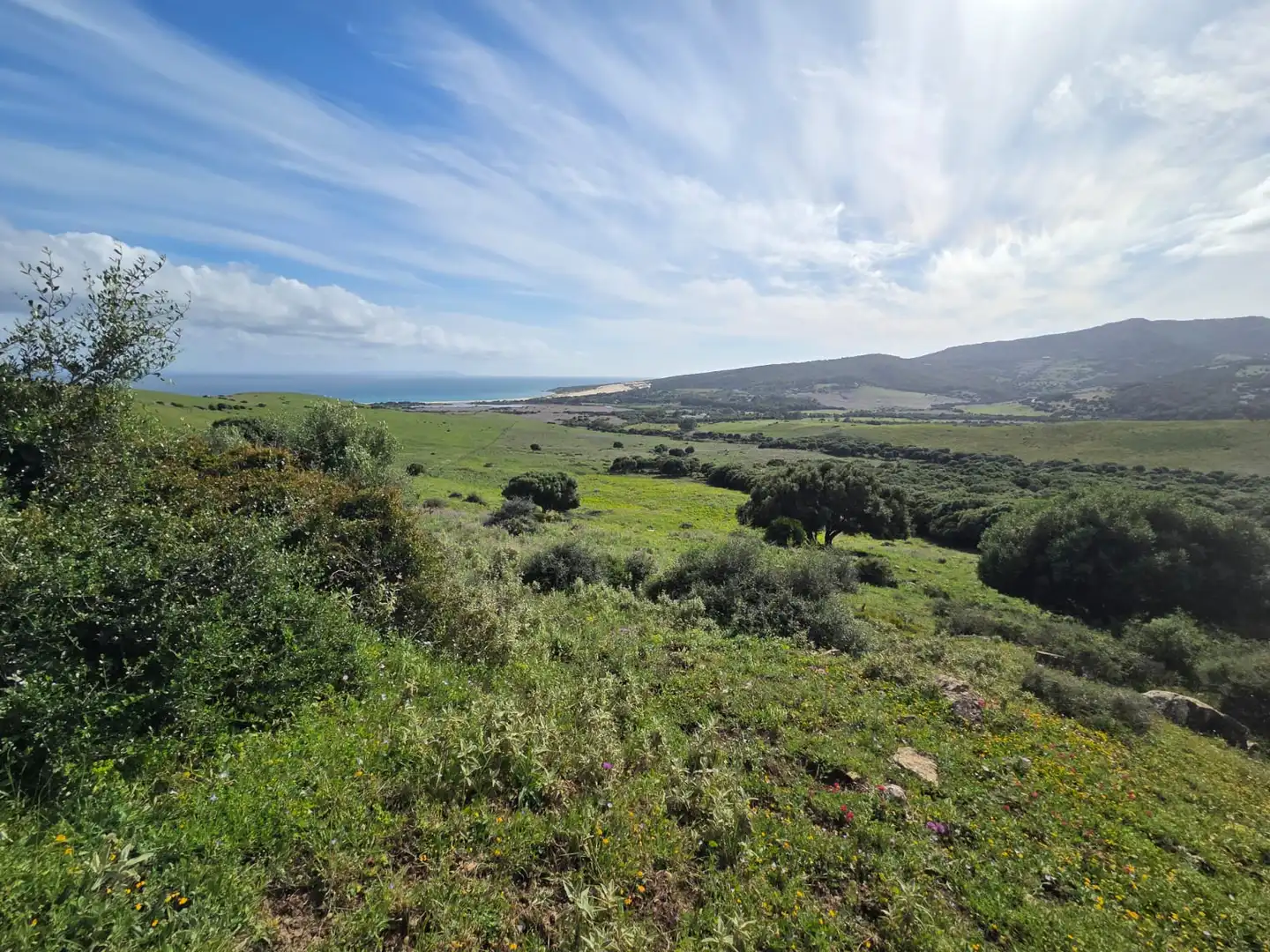 Terreno en venta en Tarifa