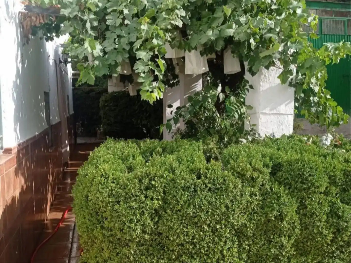 Jardín de Casa o chalet en venta en Cambil con Jardín privado, Piscina y Amueblado