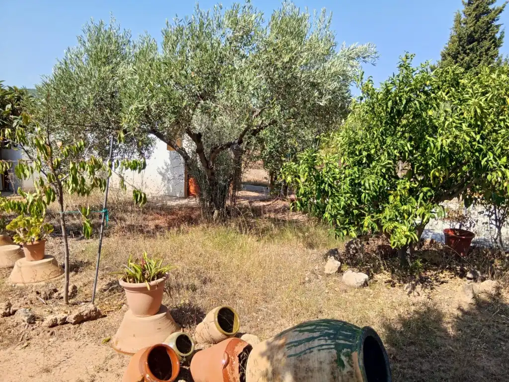 Garten von Country house zum Verkauf in Calles mit Privatgarten, Terrasse und Abstellraum
