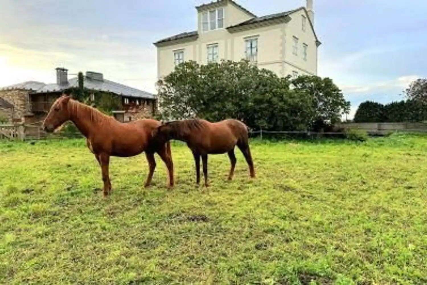 Casa con jardín en venta en Avda del Folgueirón, s n Campos y Salave, imagen 66