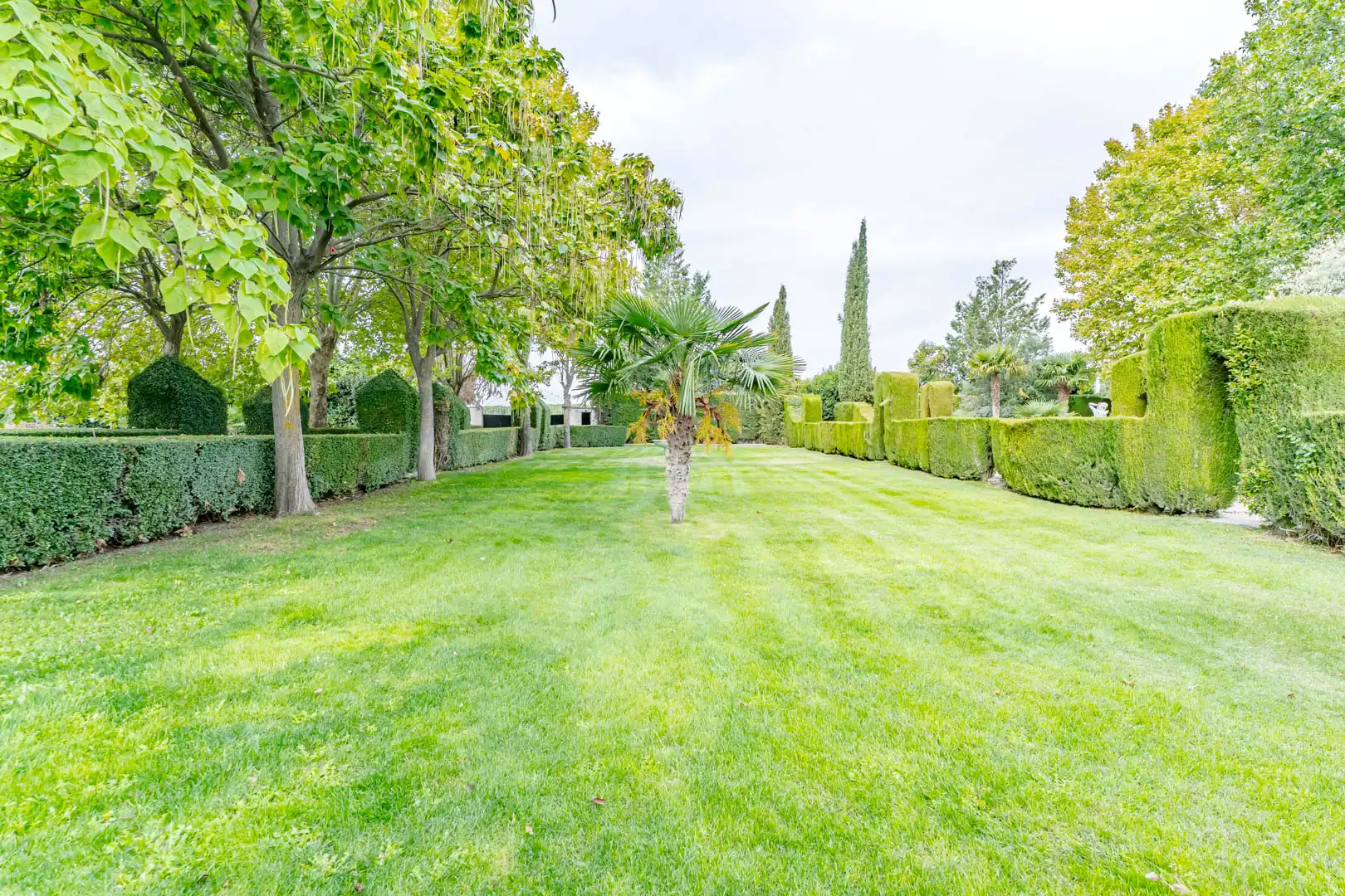 Jardín de Edificio en venta en Laguna de Duero
