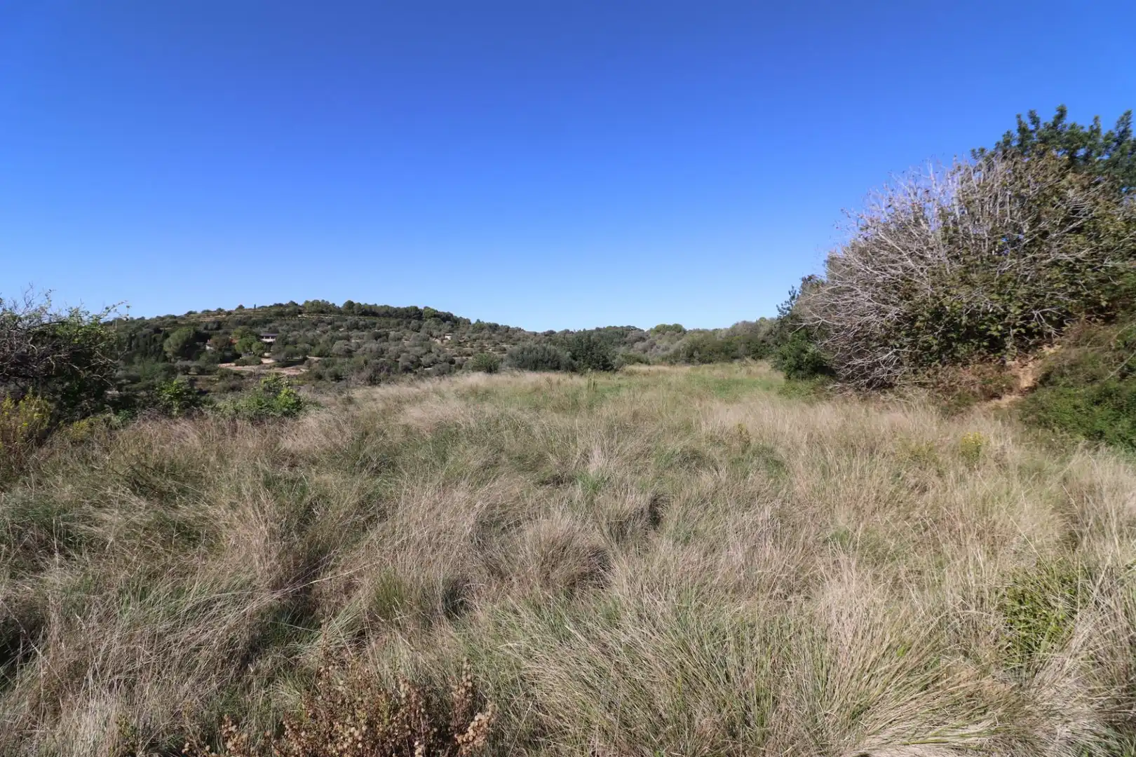 Grundstücke zum Verkauf in Ulldecona