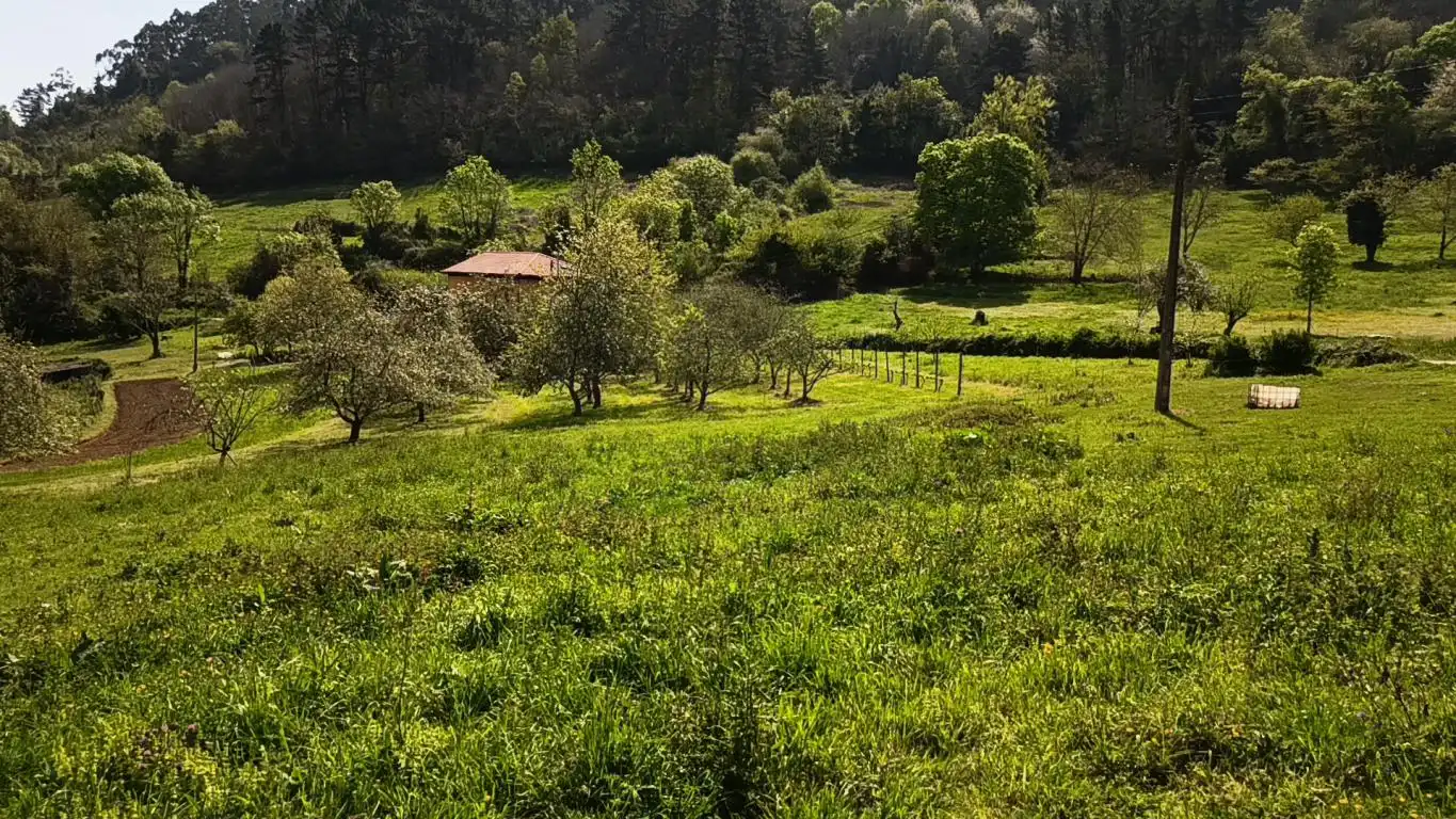 Terreno residencial en venta en AS-39, imagen 20