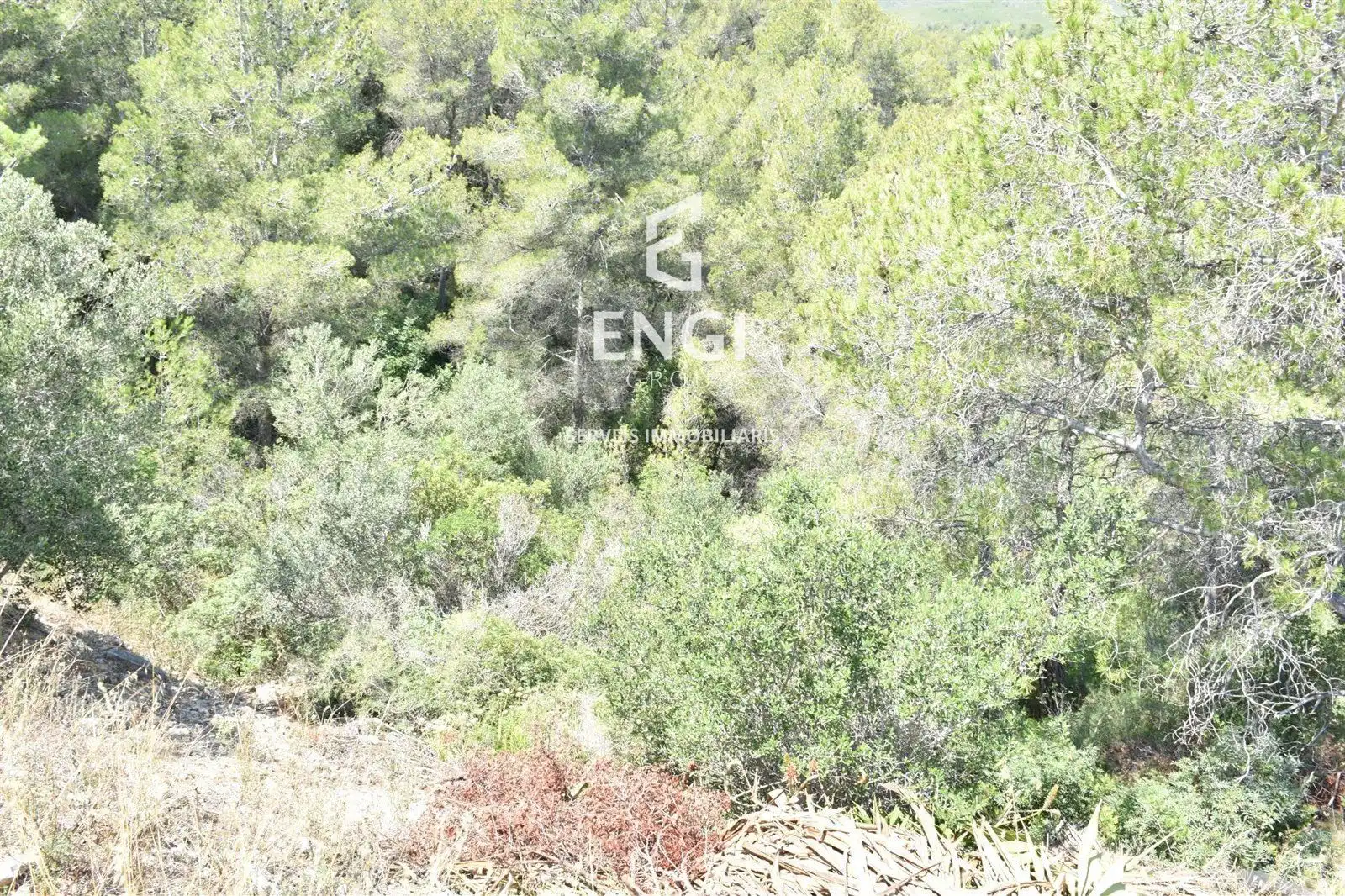 Rural land for sale in TER-UR CAN GORDEI, imagen 3