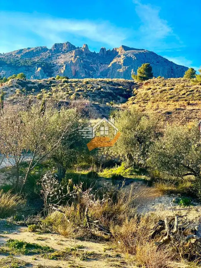 Residential land for sale in Vélez-Rubio, imagen 19