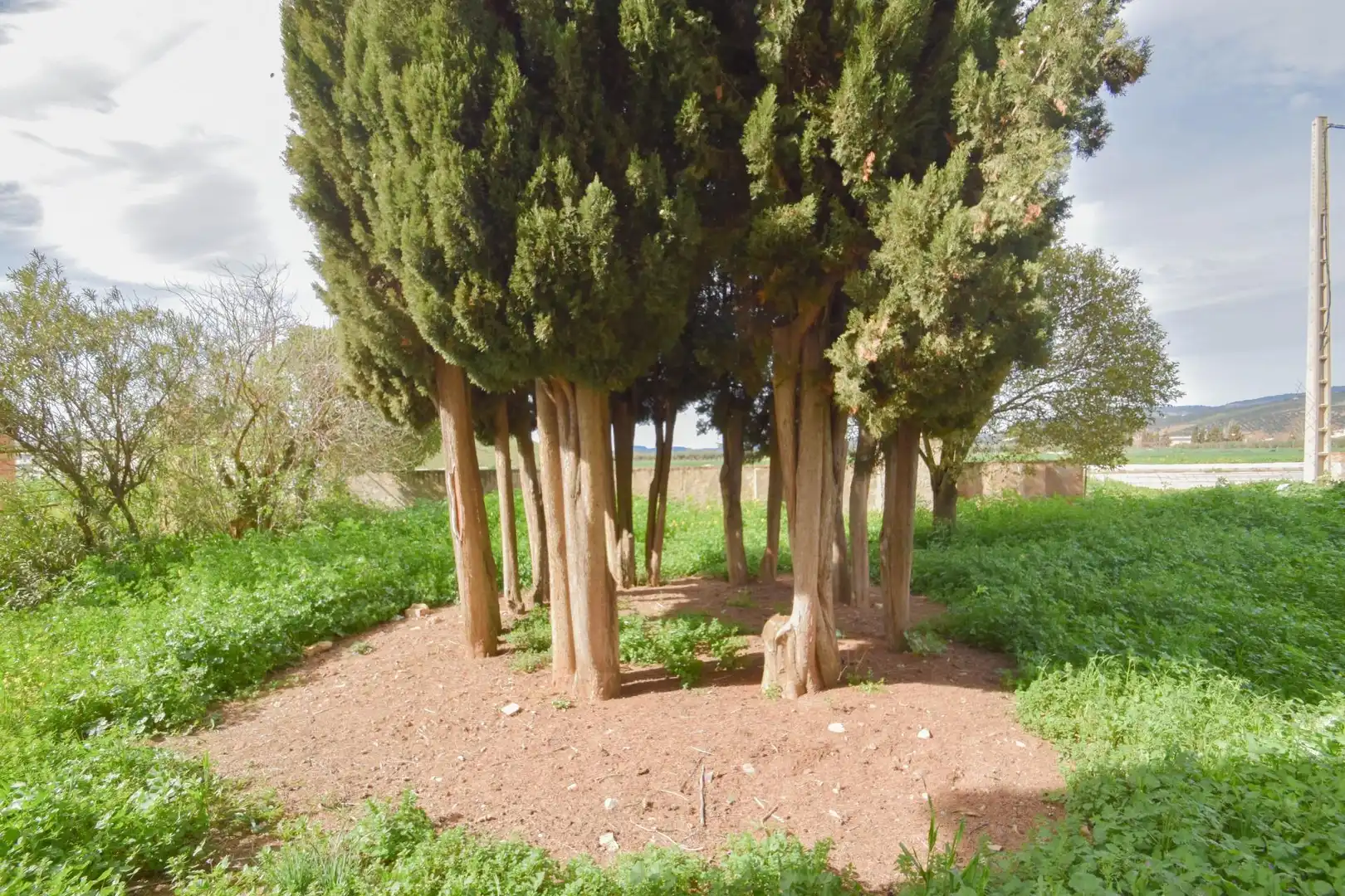 Villa con terrazza in vendita a ESTACION, imagen 7