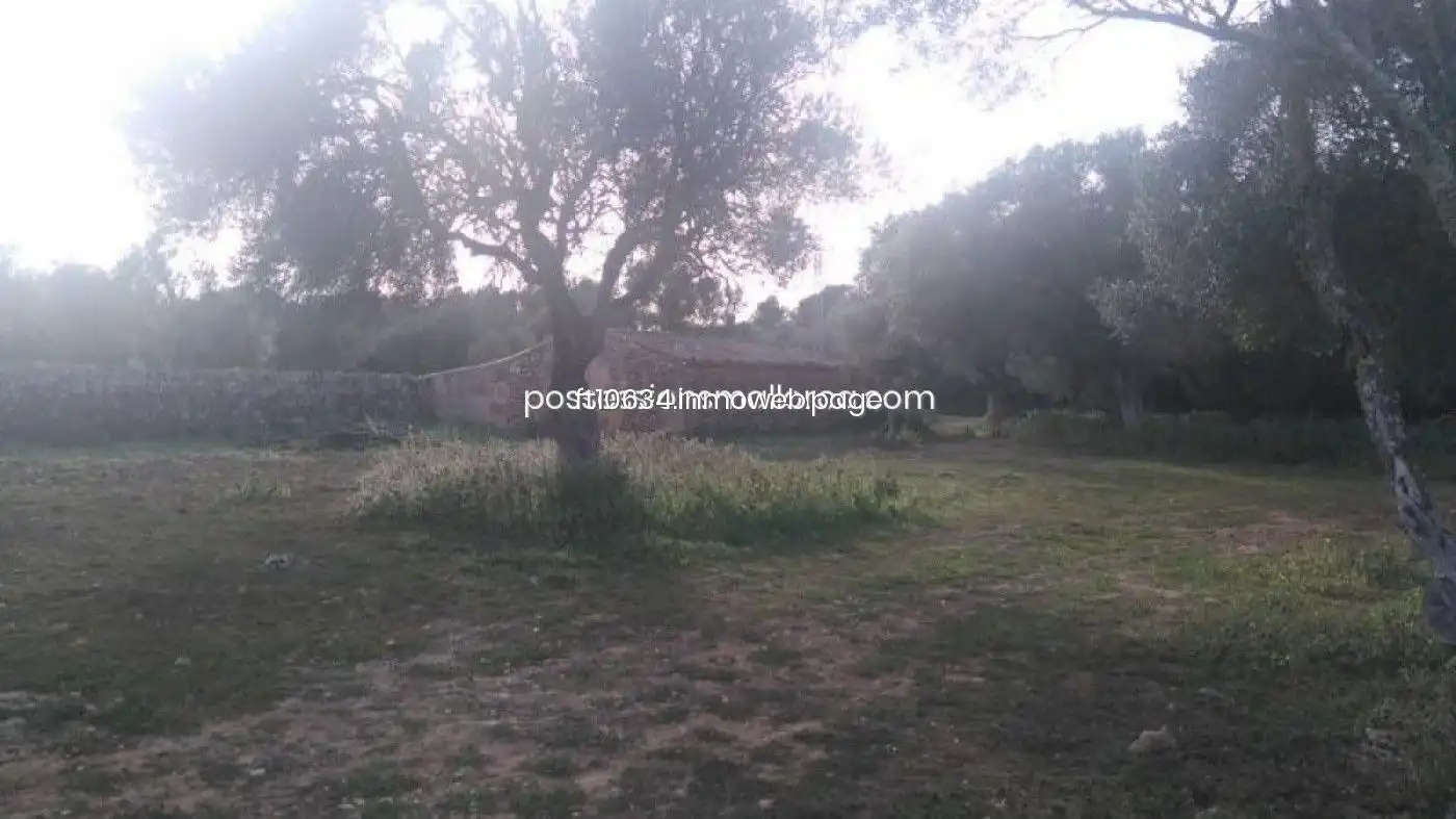 Terreno rustico in vendita a Algaida, imagen 42