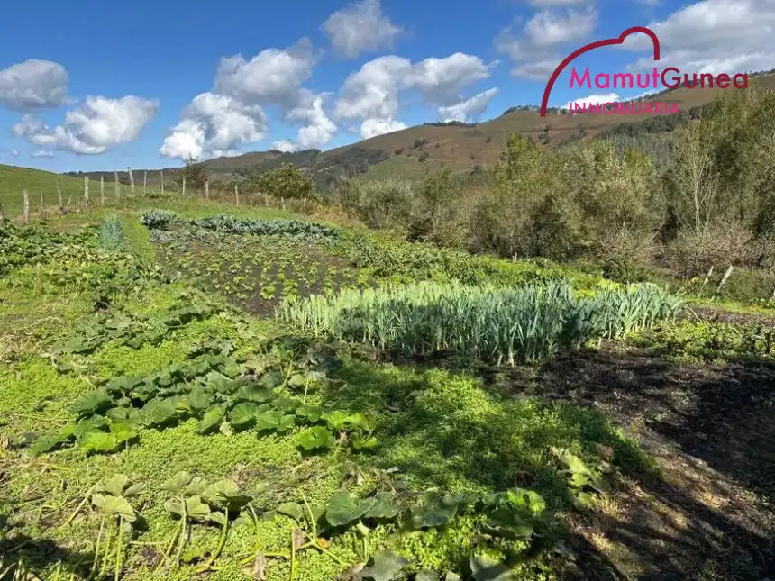 Jardín de Finca rústica en venta en Goizueta