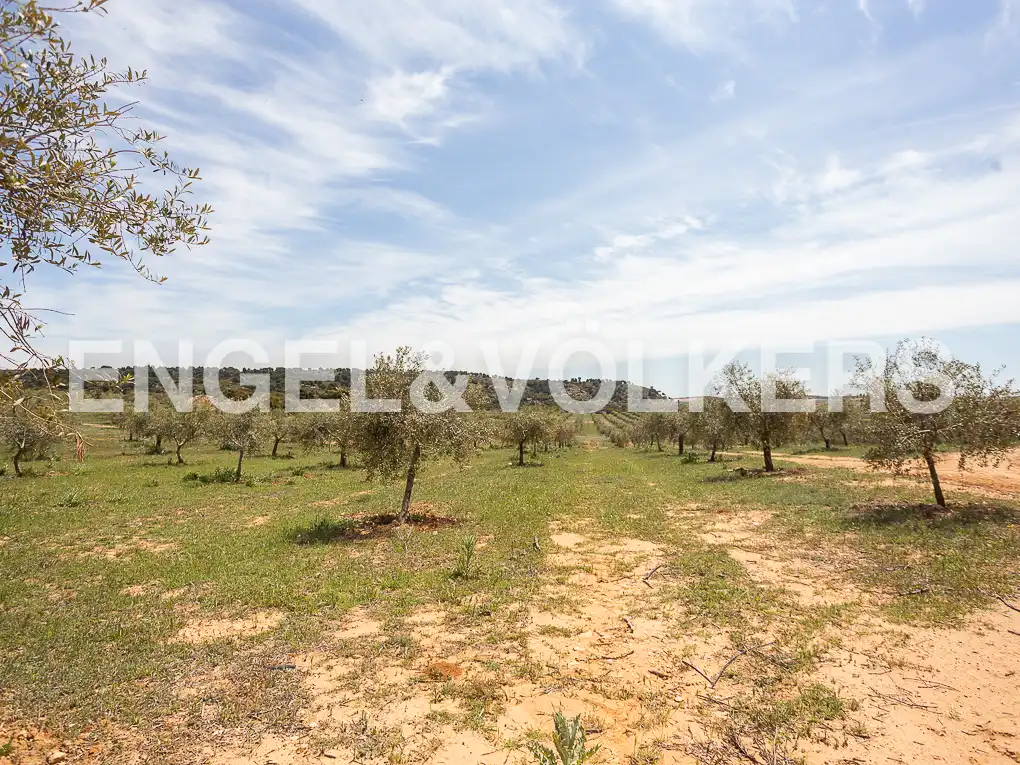 Casa o chalet en venta en Chinchilla de Monte-Aragón con Calefacción, Jardín privado y Terraza