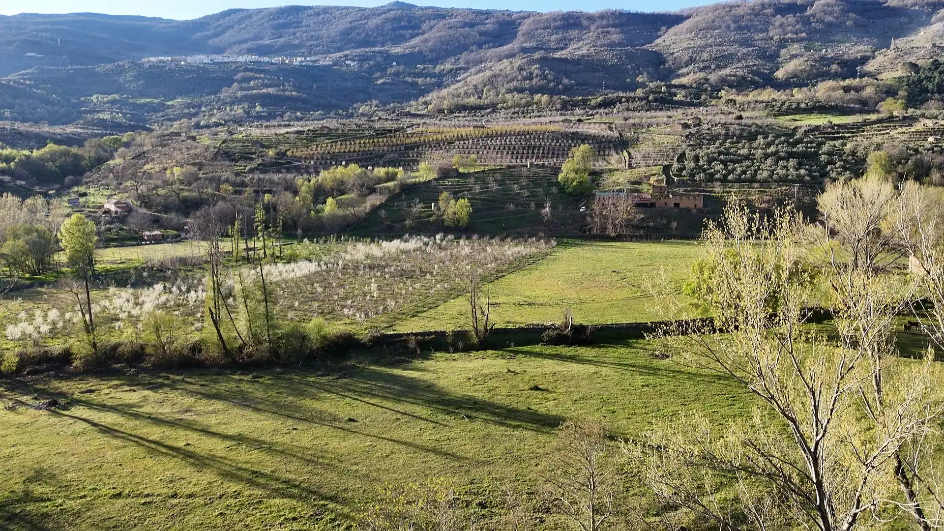 Terreno en venta en El Torno 