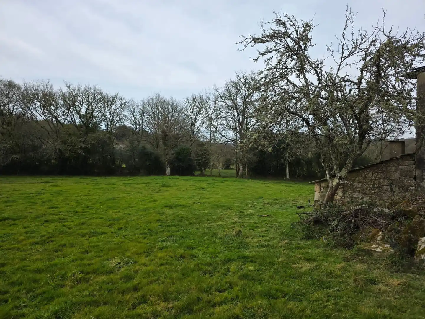 Finca rústica en venta en Vilalba con Jardín privado y Amueblado