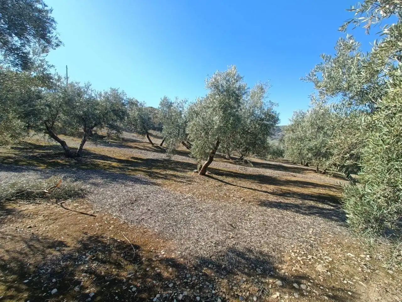 Terreni e lotti in vendita a Moraleda de Zafayona, imagen 22
