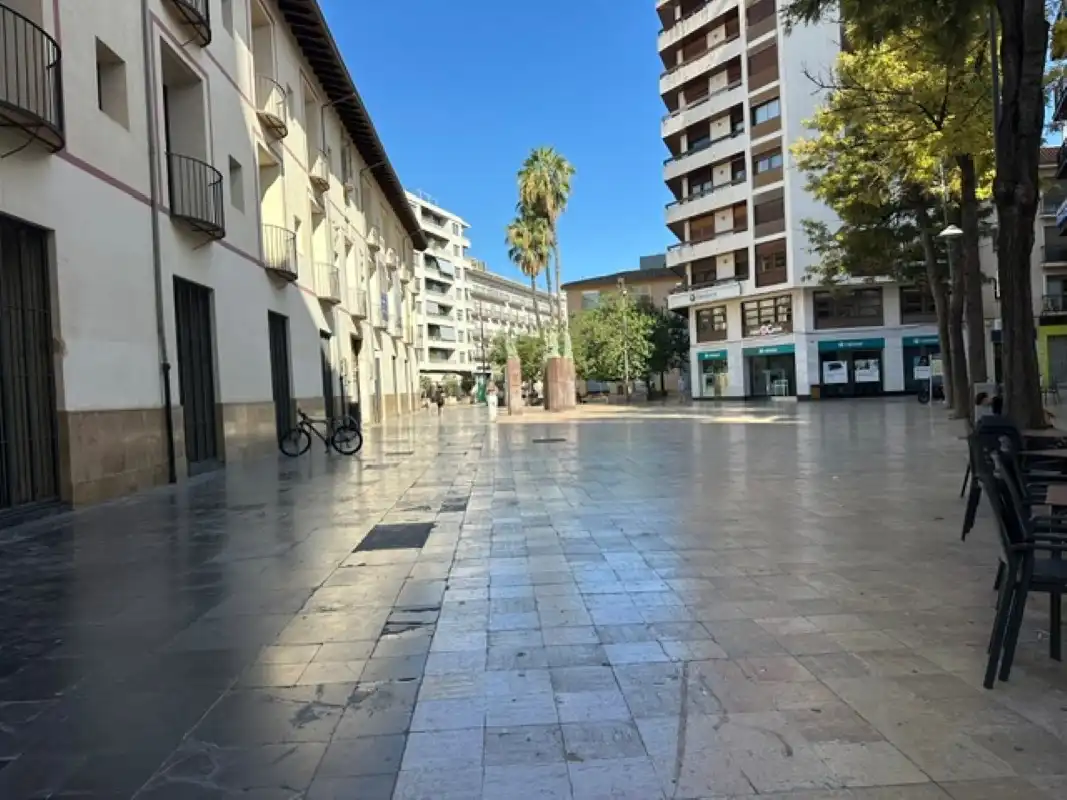 Local comercial en venta en Carrer de Sant Francesc de Borja, imagen 4