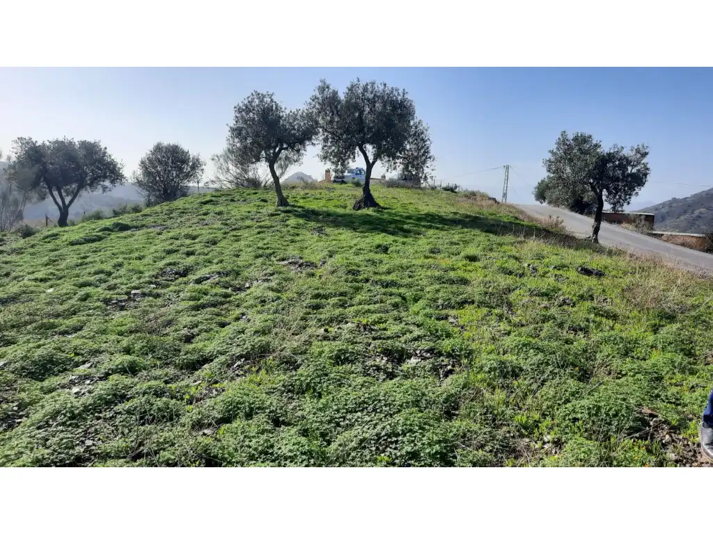 Terrenos y solares en venta en Almogía, imagen 19