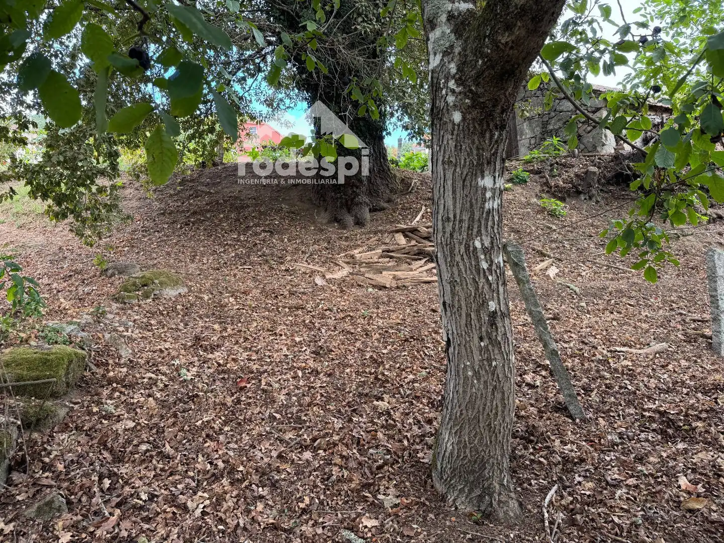 Others for sale in Cortegada, imagen 20