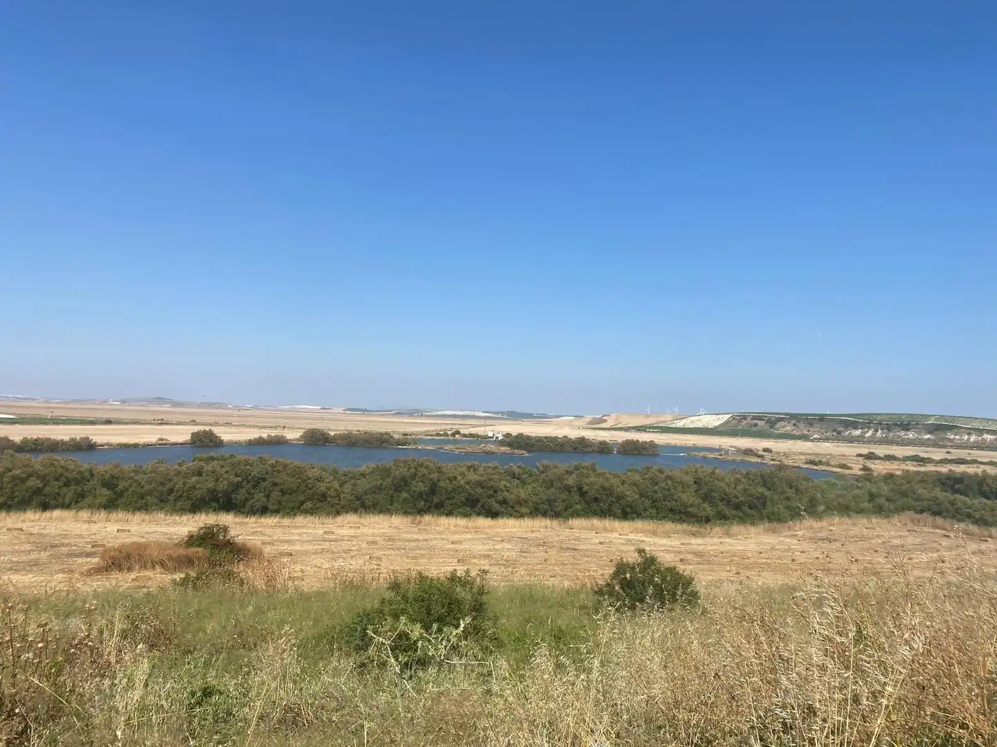 Residential land for sale in Martín Miguel, imagen 10