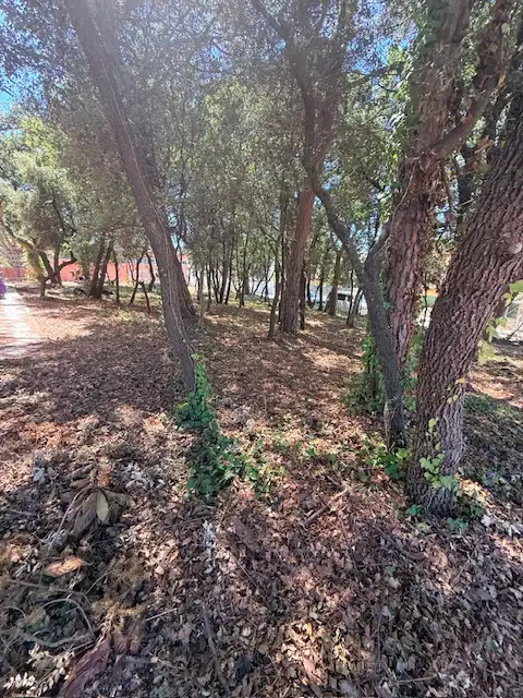 Residential land for sale in Carrer Tulipa, imagen 6