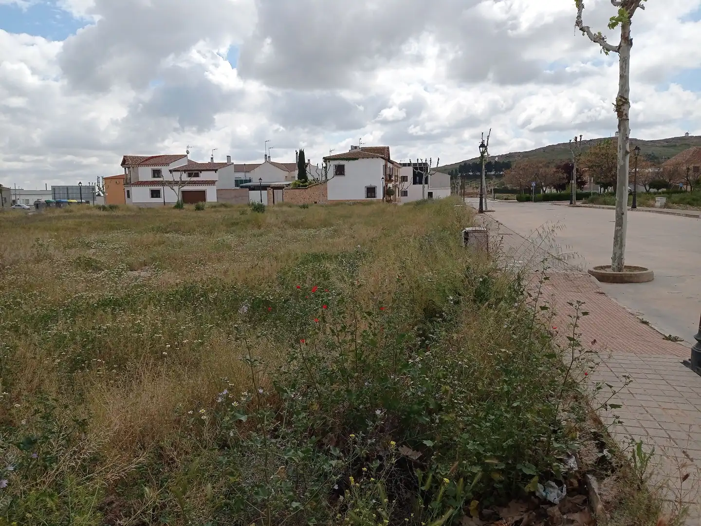 Terreny residencial en venda a Herencia, imagen 13