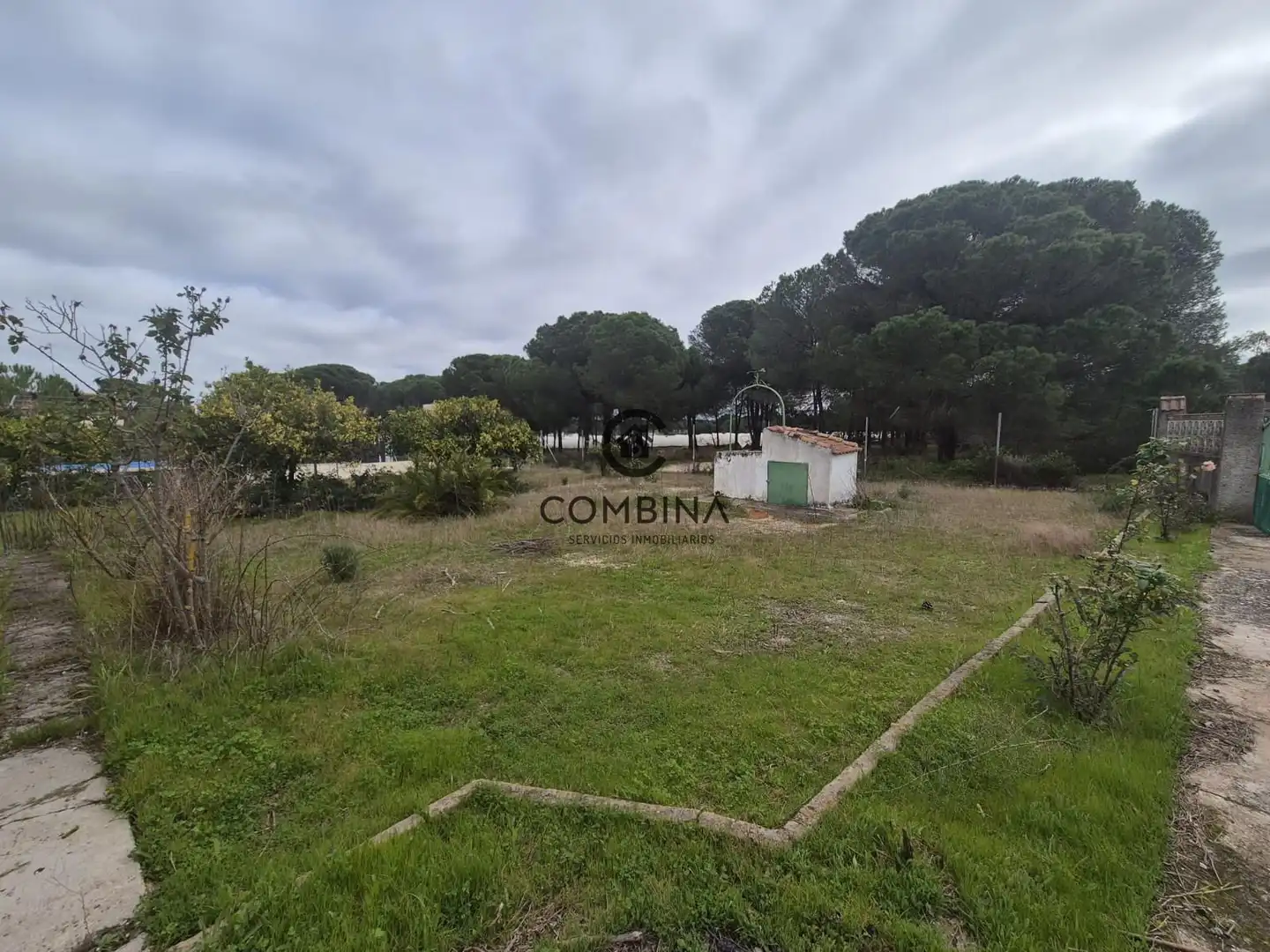 Terreny en venda en Bonares