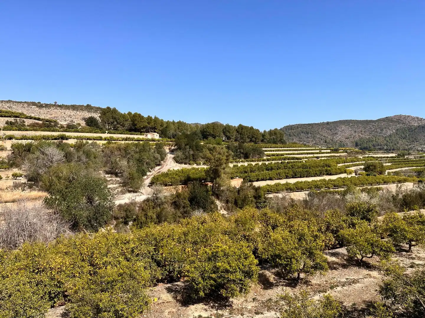 Residencial en venta en L'Atzúbia