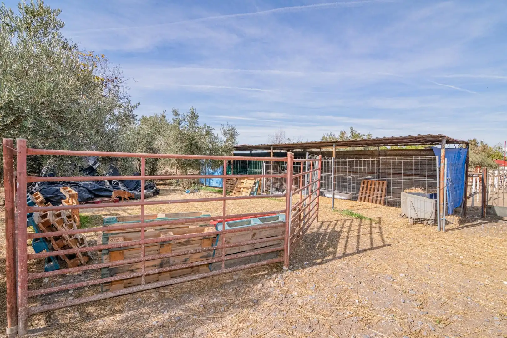 Vista exterior de Finca rústica en venta en La Zubia