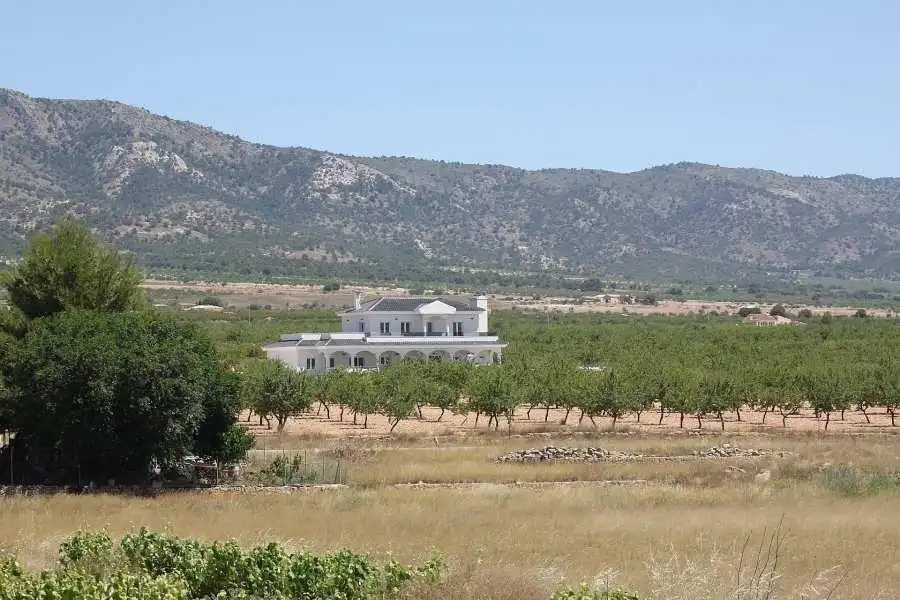 Chalet con piscina en venta en El Pinós / Pinoso, imagen 15