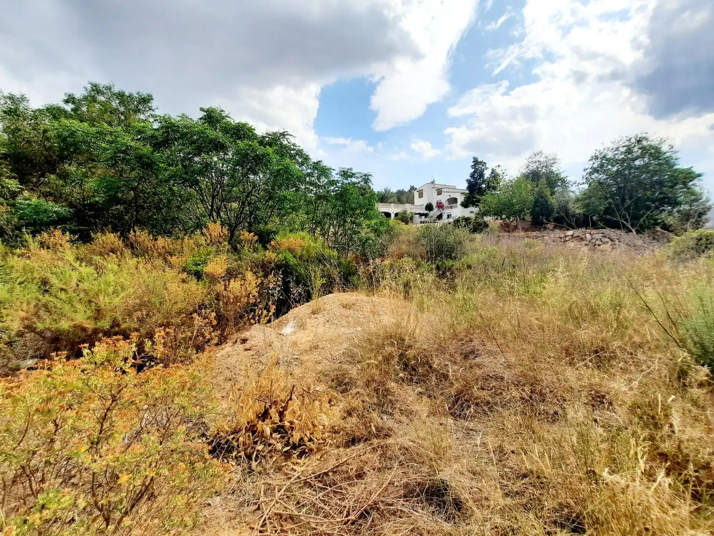 Terreny residencial en venda a Alberic, imagen 6