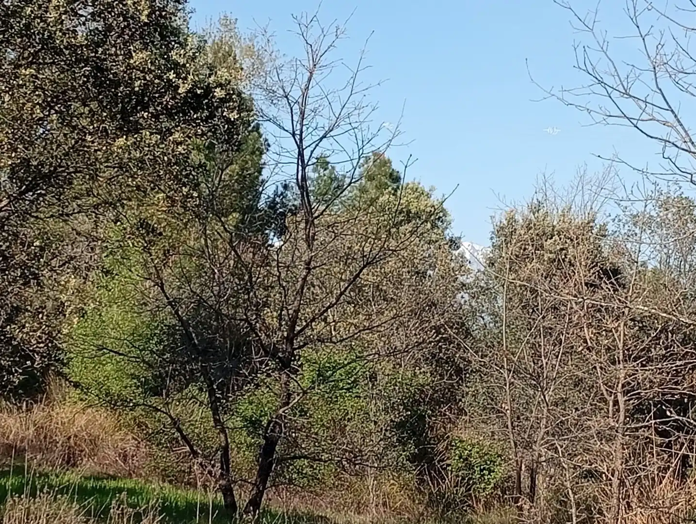 Terreni e lotti in vendita a Villanueva de la Vera, imagen 65