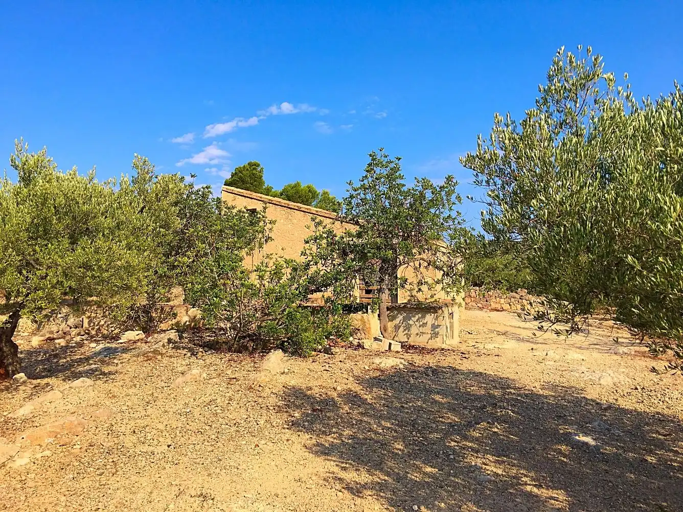 Casa rústica en venda a Xerta, imagen 10