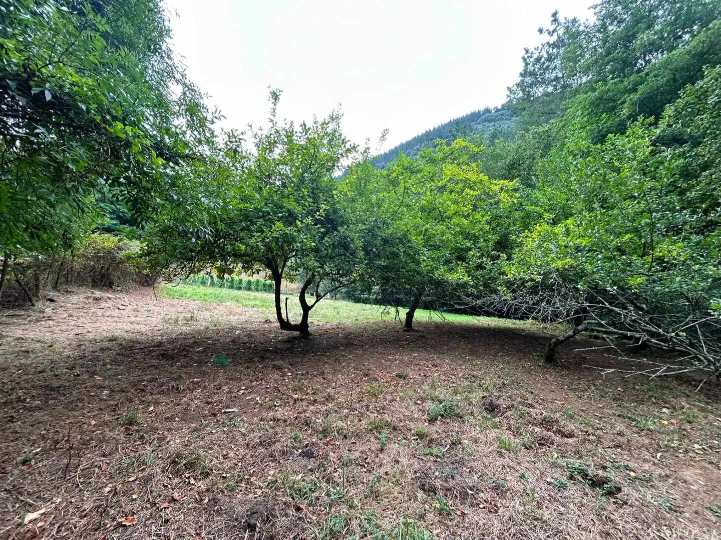 Casa o chalet en venta en Sopuerta con Jardín privado y Trastero