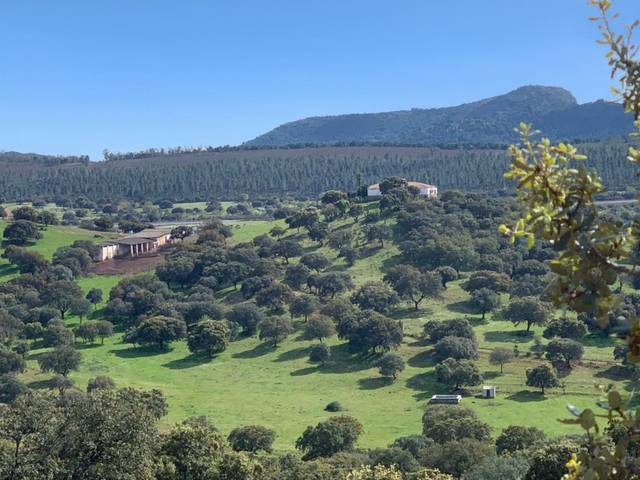 Terreno en Venta en Garbayuela