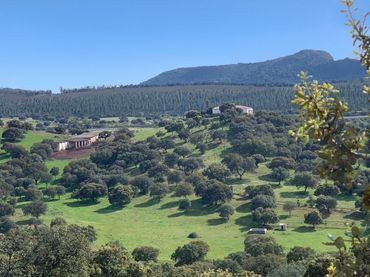 Terreno rustico in vendita a Garbayuela